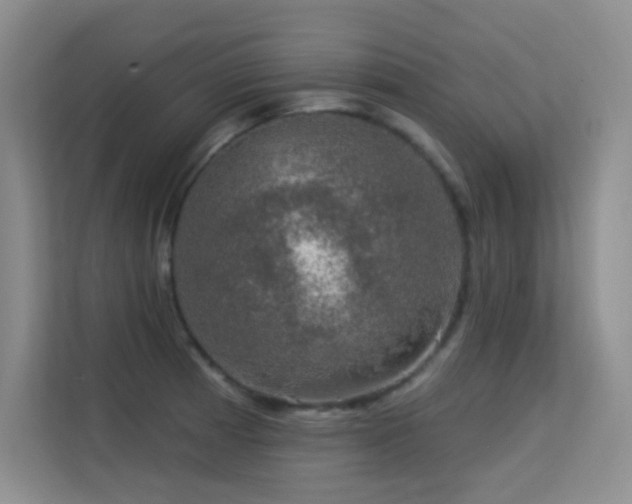 X0000113571185200909251128