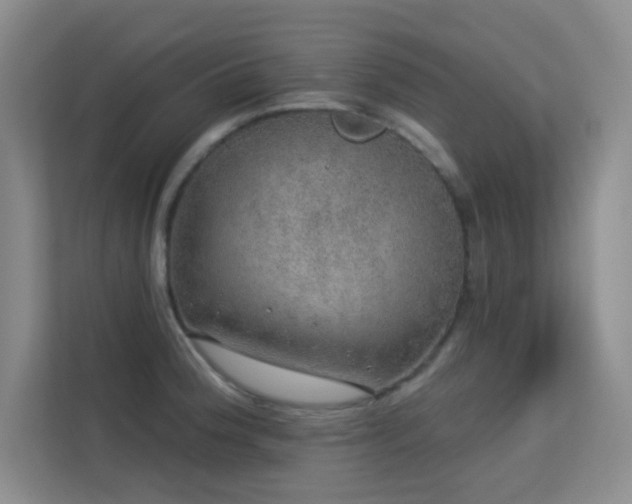 X0000113571188200909251128