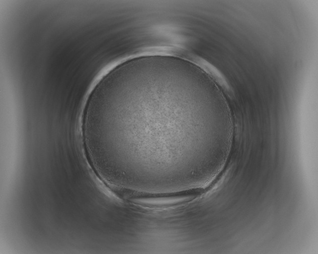 X0000113571192200909251128