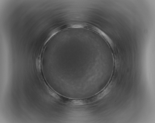 X0000113571194200909251128