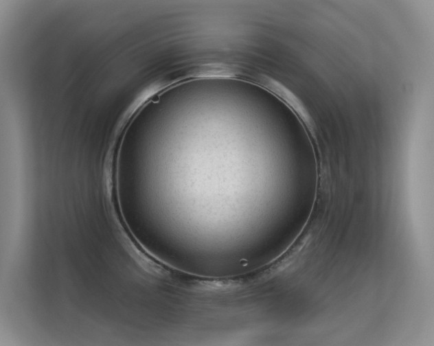 X0000113571195200909251128