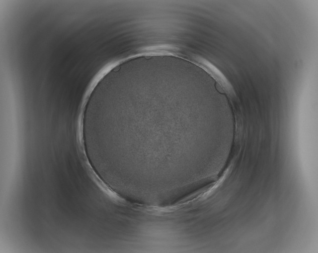 X0000113571196200909251128