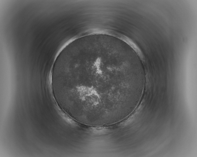 X0000113571198200909251128
