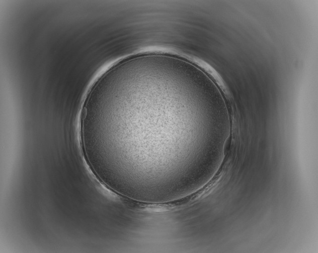 X0000113571199200909251128