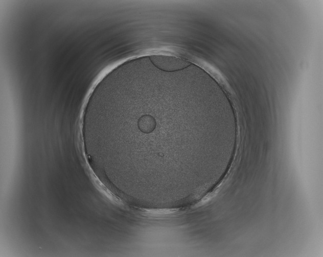 X0000113571200200909251128