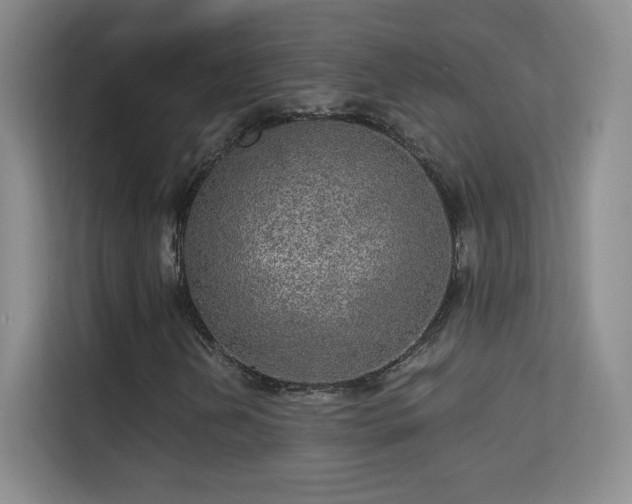 X0000113571202200909251127