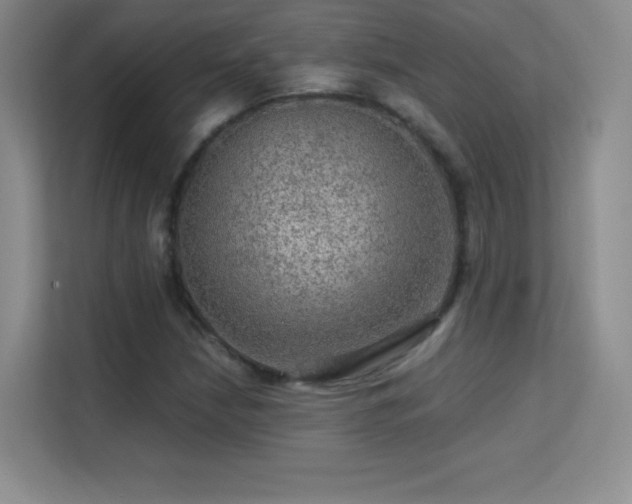 X0000113571210200909251127