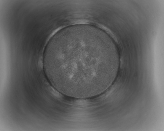 X0000113571212200909251127