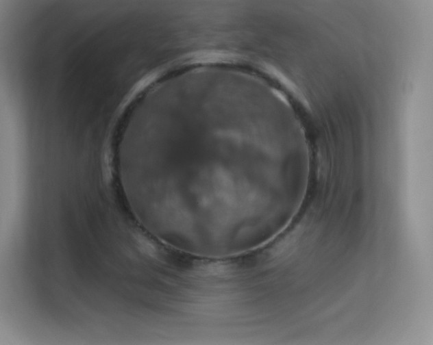 X0000113571213200909251127