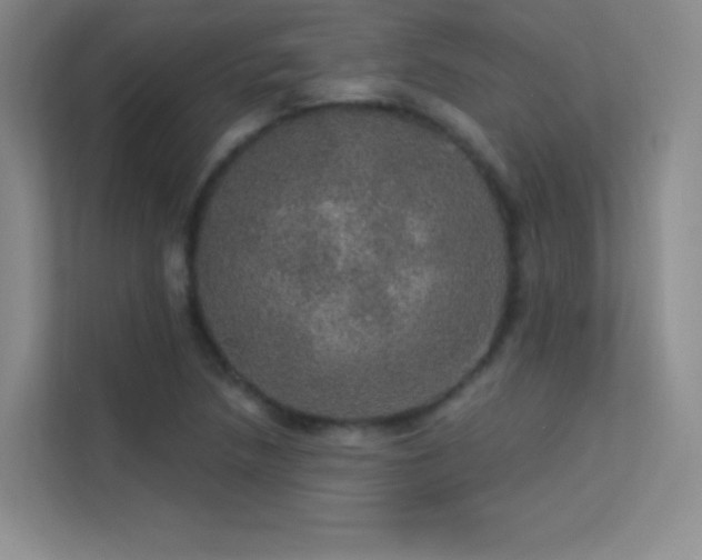 X0000113571218200909251128