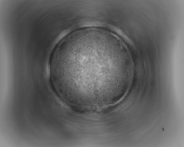 X0000113571221200909251128