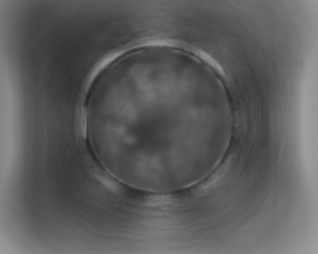 X0000113571223200909251128