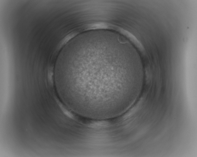 X0000113571225200909251128