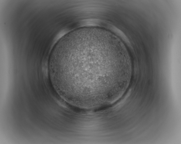 X0000113571226200909251128