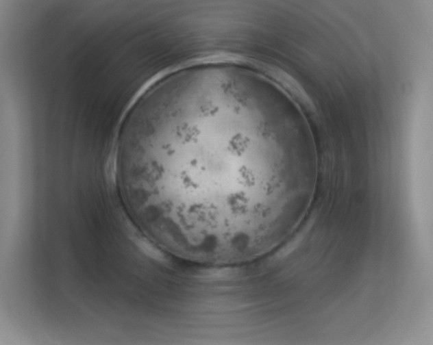 X0000113571228200909251128