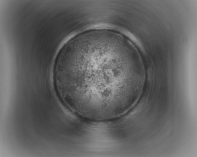 X0000113571229200909251128
