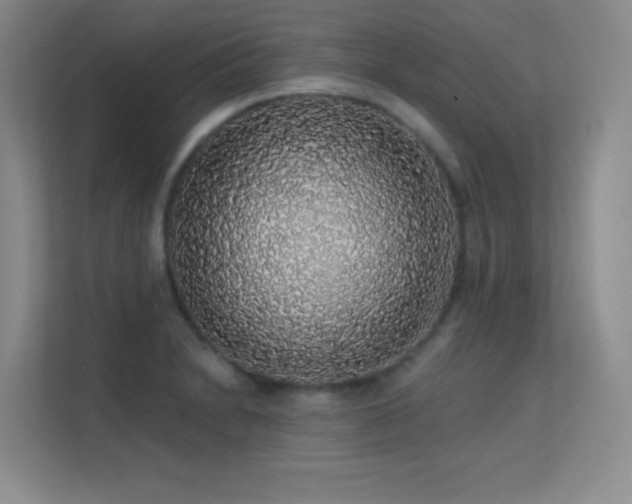 X0000113571230200909251128