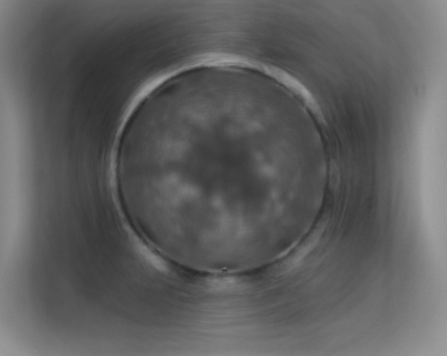 X0000113571231200909251128