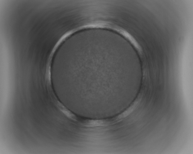 X0000113571232200909251128