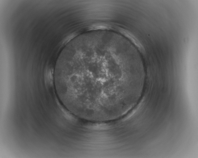 X0000113571233200909251128
