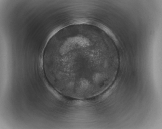 X0000113571234200909251128