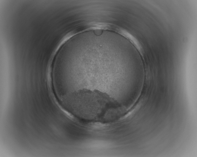 X0000113571235200909251128