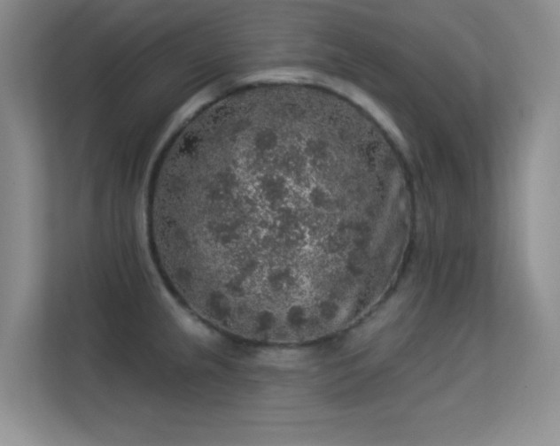X0000113571237200909251128