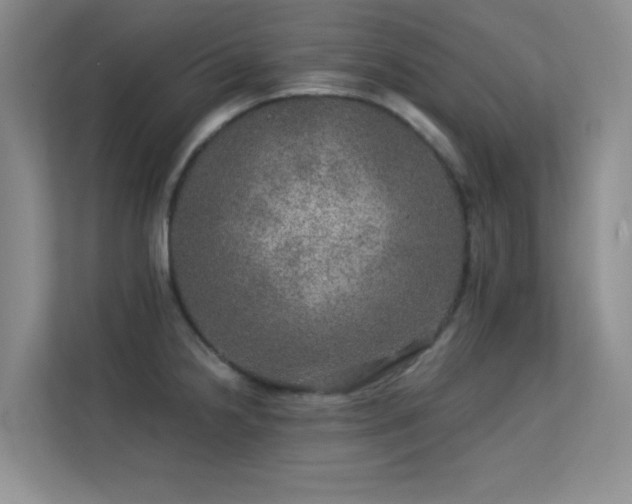 X0000113571238200909251128