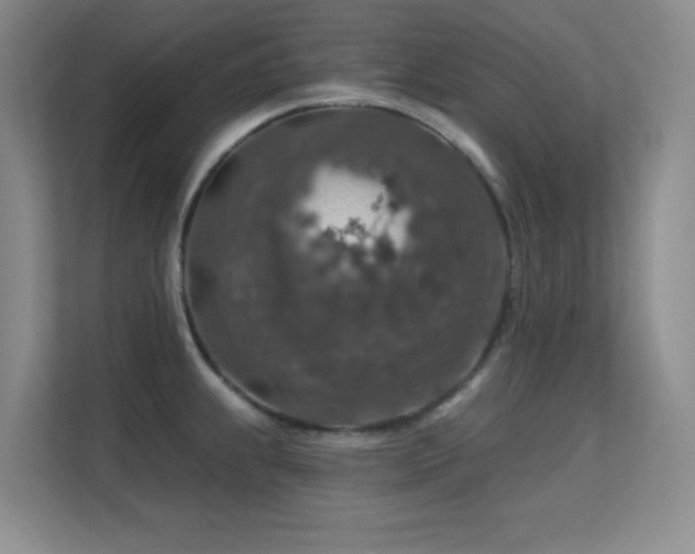 X0000113571239200909251128