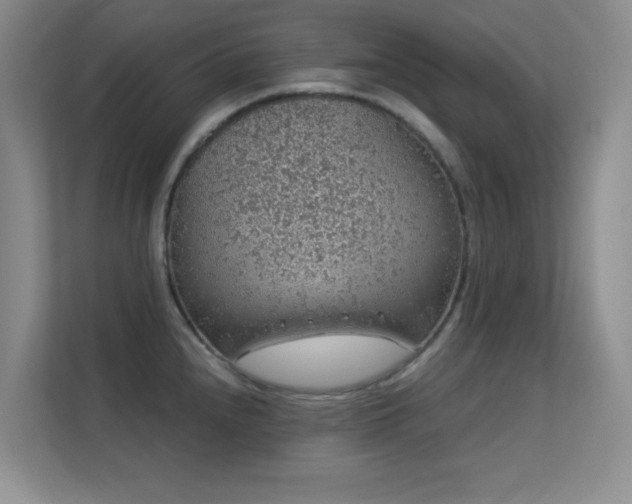 X0000113571240200909251128