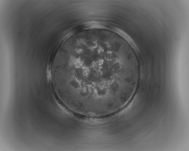 X0000113571241200909251128