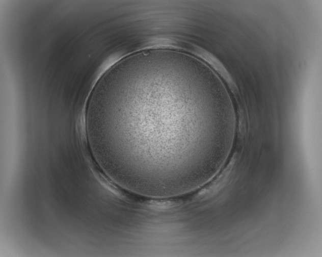 X0000113571242200909251128
