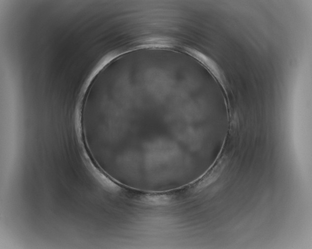 X0000113571243200909251128