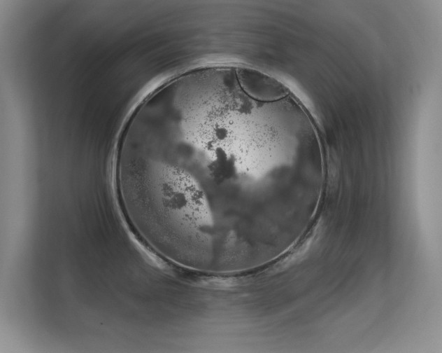 X0000113571245200909251128