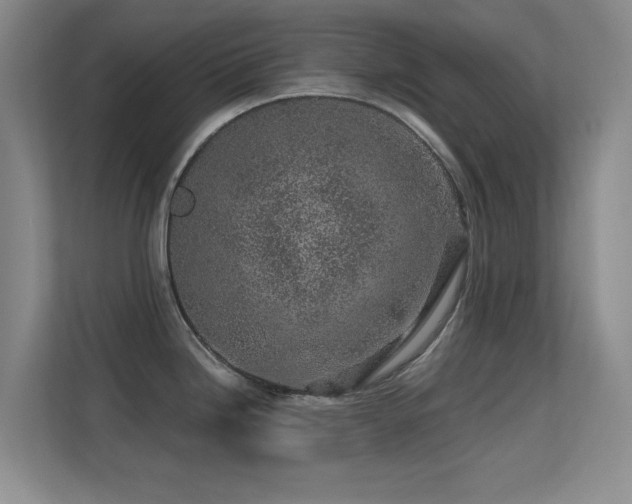 X0000113571246200909251128