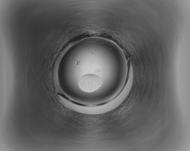 X0000113571249200909251127
