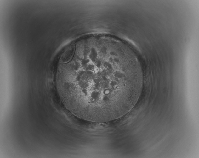 X0000113571255200909251127
