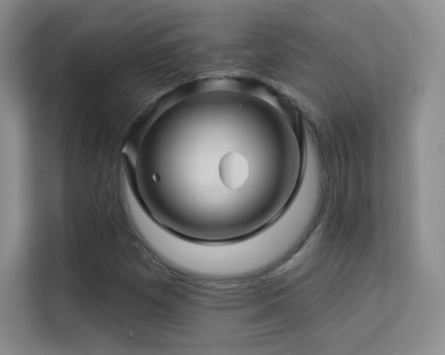 X0000113571257200909251127