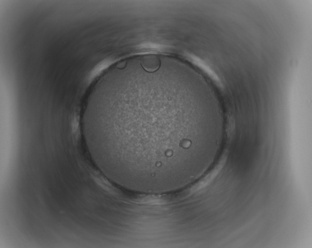 X0000113571259200909251127