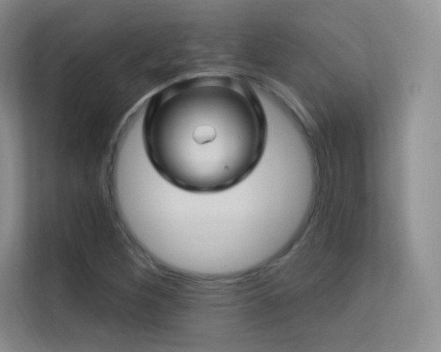 X0000113571260200909251127
