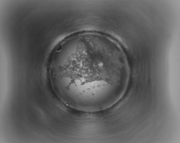 X0000113571263200909251127