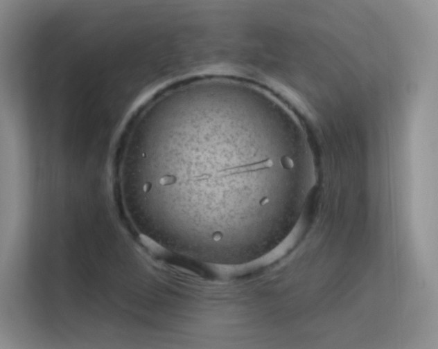 X0000113571264200909251127