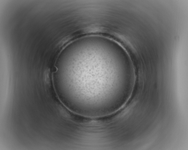 X0000113571265200909251127