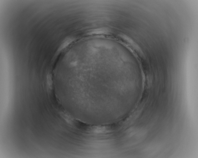 X0000113571266200909251127