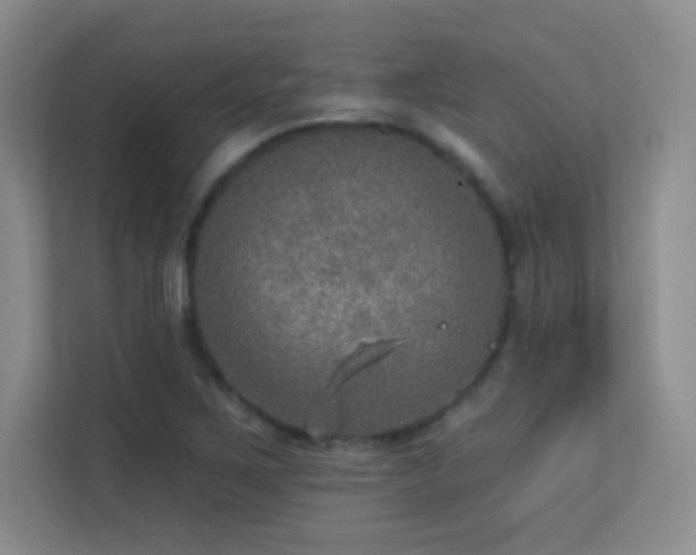 X0000113571267200909251127