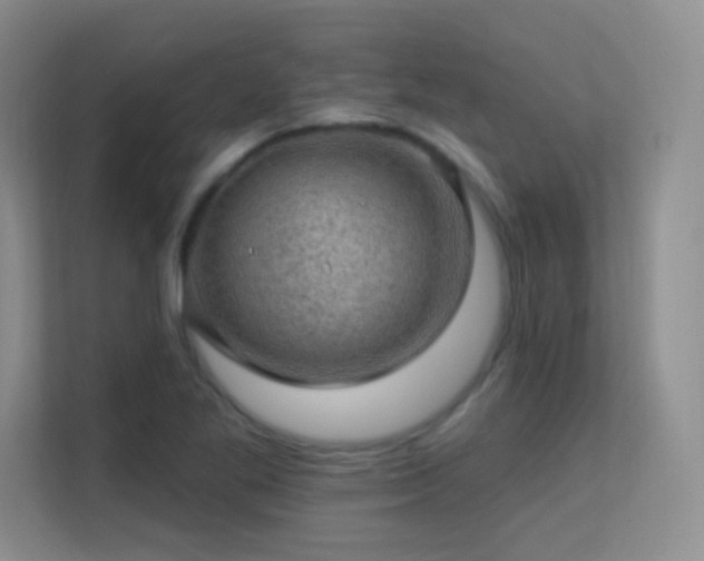 X0000113571269200909251127