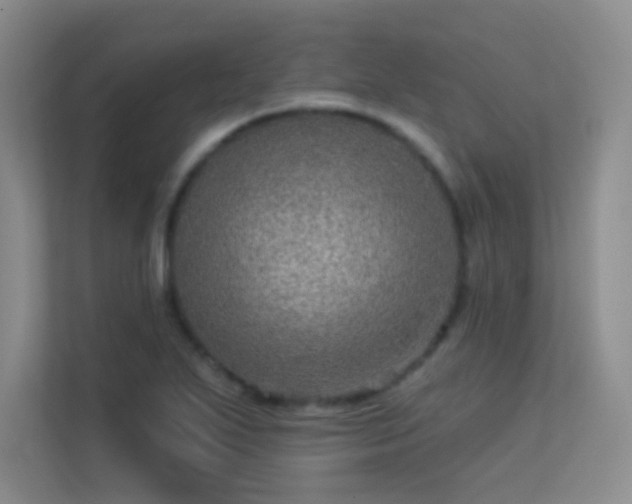 X0000113571271200909251127