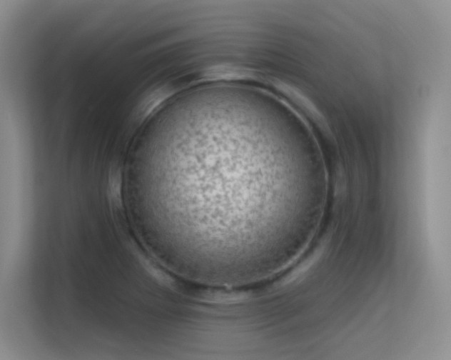 X0000113571273200909251127