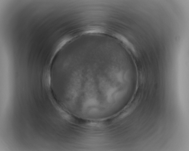 X0000113571274200909251127