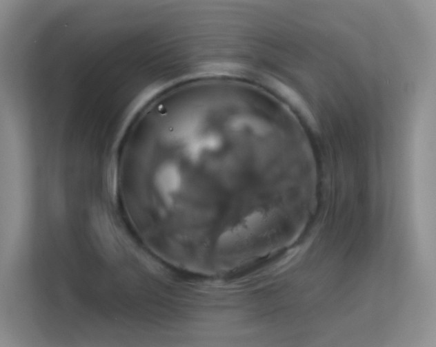 X0000113571275200909251127